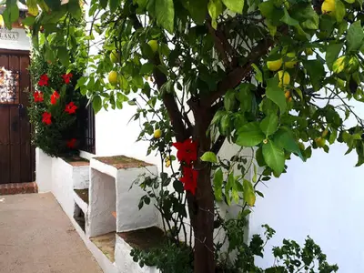 Ferienhaus für 5 Personen (60 m²) in Benadalid 5/10