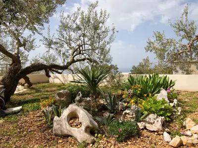 Ferienhaus für 10 Personen (230 m²) in Makarska 3/10