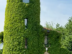 Ferienhaus für 4 Personen (80 m²) in Stadt Voerde (Niederrhein)