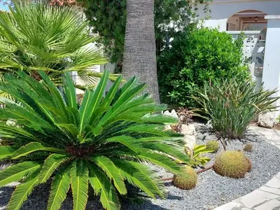 Ferienhaus für 4 Personen (65 m²) in Riumar 5/10