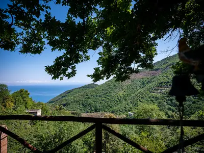 Ferienhaus für 3 Personen (50 m²) in Albori 7/10