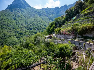 Ferienhaus für 3 Personen (50 m²) in Albori 10/10