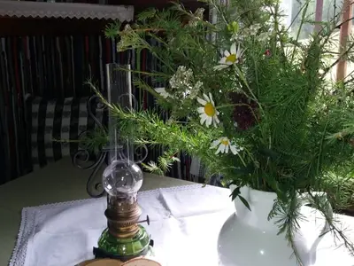 Ferienhaus für 6 Personen (64 m²) in Innervillgraten 4/10