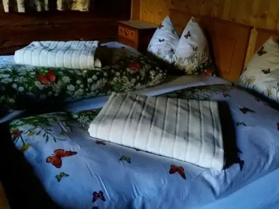 Ferienhaus für 6 Personen (64 m²) in Innervillgraten 9/10