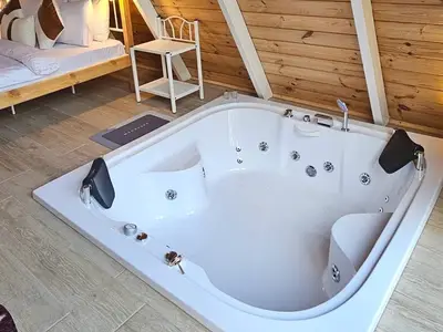 Ferienhaus für 2 Personen (50 m²) in Sapanca 5/10