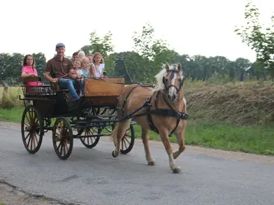 Ferienhaus für 5 Personen (60 m²) in Wulfskuhl 6/10