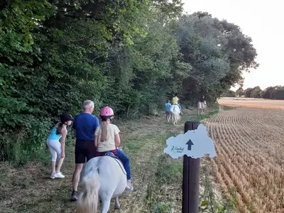 Ferienhaus für 5 Personen (60 m²) in Wulfskuhl 7/10