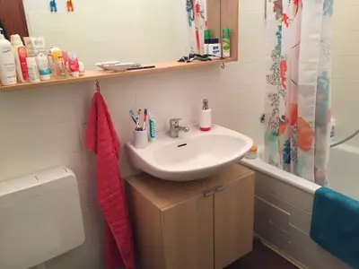 Ferienhaus für 5 Personen (48 m²) in Ahlefeld-Bistensee 5/10