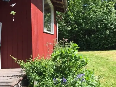 Ferienhaus für 5 Personen (48 m²) in Ahlefeld-Bistensee 8/10