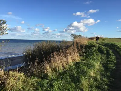Ferienhaus für 5 Personen (48 m²) in Ahlefeld-Bistensee 10/10