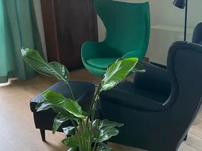 Ferienhaus für 4 Personen (160 m²) in Stadt Leichlingen (Rheinland) 9/10