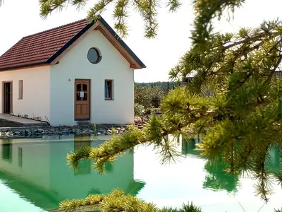 Ferienhaus für 2 Personen (40 m²) in Schiltern bei Langelois 2/10