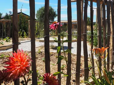 Ferienhaus für 2 Personen (40 m²) in Schiltern bei Langelois 8/10