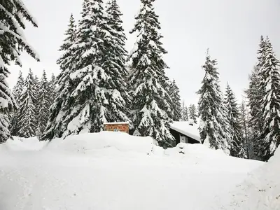 Ferienhaus für 8 Personen (155 m²) in Sauerwald 3/10