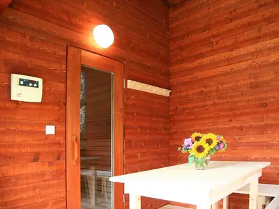 Ferienhaus für 6 Personen (52 m²) in Sauerwald 7/10