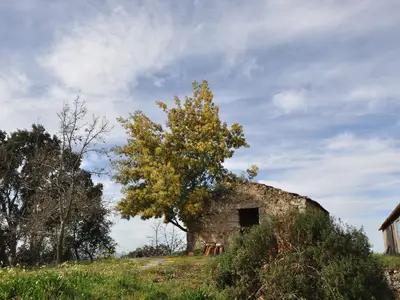 Ferienhaus für 10 Personen (120 m²) in Aldeia 6/10