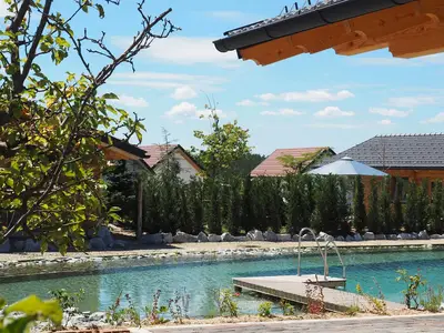 Ferienhaus für 2 Personen (40 m²) in Schiltern bei Langelois 7/10