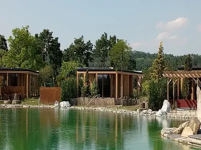 Ferienhaus für 2 Personen (40 m²) in Schiltern bei Langelois 9/10