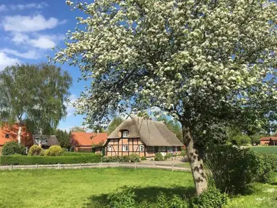 Ferienhaus für 6 Personen (104 m²) in Schmiedendorf 1/10