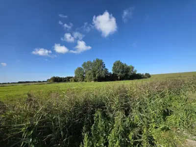 Ferienhaus für 8 Personen (120 m²) in Norden Norddeich 7/10