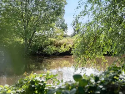 Ferienhaus für 6 Personen (120 m²) in Carolinensiel 7/10