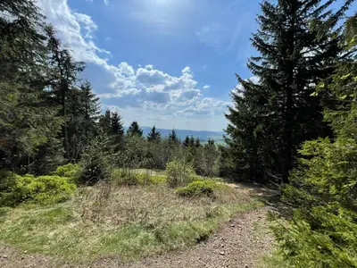 Ferienhaus für 4 Personen (71 m²) in Bonndorf im Schwarzwald 10/10