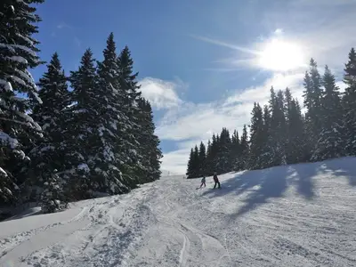 Ferienhaus für 8 Personen (94 m²) in Elsenbrunn 7/10