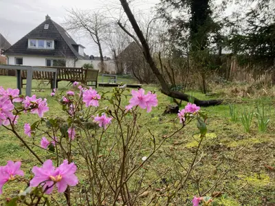 Ferienhaus für 10 Personen (235 m²) in Nebel 7/10