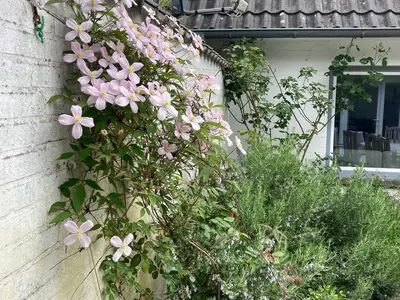 Ferienhaus für 10 Personen (235 m²) in Nebel 8/10