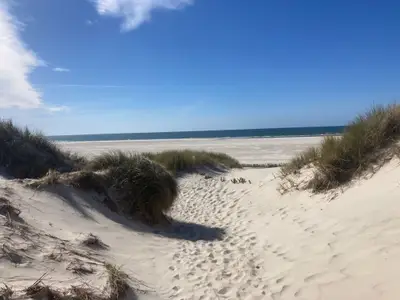 Ferienhaus für 10 Personen (240 m²) in Norddorf 8/10