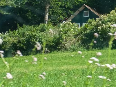 Ferienhaus für 4 Personen (30 m²) in Harbshausen 2/10