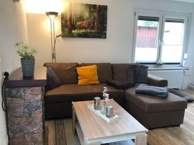 Ferienhaus für 4 Personen (50 m²) in Ilsenburg 6/10