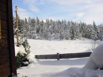 Ferienhaus für 4 Personen (43 m²) in Vigaun 5/10