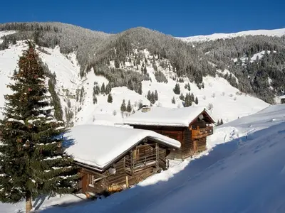 Ferienhaus für 12 Personen (120 m²) in Grossarl 9/10