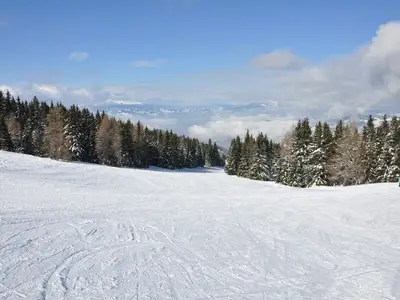 Ferienhaus für 8 Personen (94 m²) in Elsenbrunn 6/10