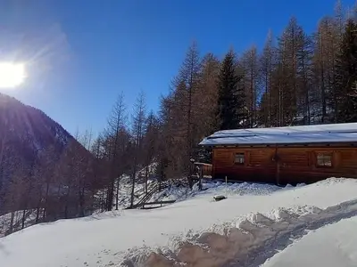 Ferienhaus für 4 Personen (42 m²) in Vordere Asten 5/10