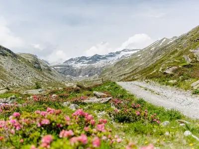 Ferienhaus für 4 Personen (38 m²) in Raneburg 7/10