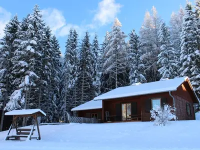 Ferienhaus für 6 Personen (57 m²) in Kamperkogel 2/10