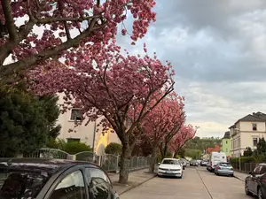 Ferienhaus für 7 Personen (140 m²) in Dresden