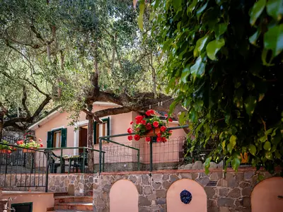 Ferienhaus für 4 Personen (40 m²) in Pisciotta 2/10