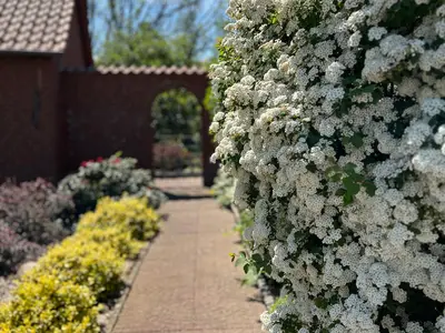 Ferienhaus für 3 Personen (75 m²) in Lenzerwische 9/10