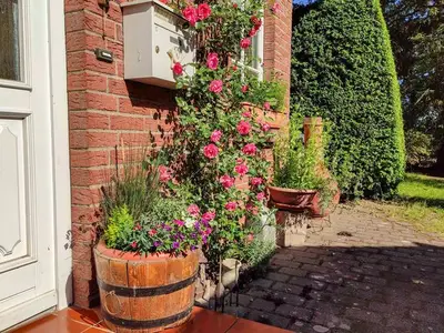 Ferienhaus für 6 Personen (120 m²) in Göhren Lebbin 2/10