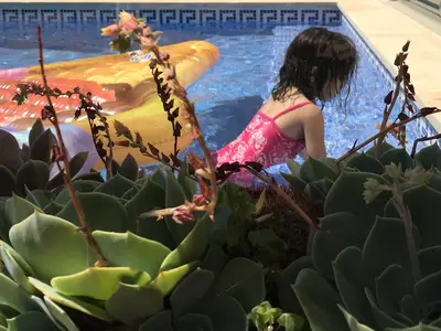 Ferienhaus für 4 Personen (200 m²) in São Bartolomeu De Messines 2/10