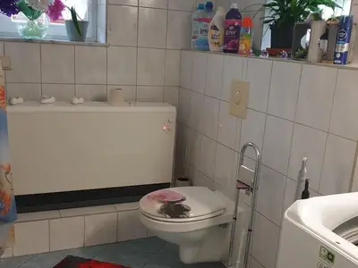 Ferienhaus für 2 Personen (70 m²) in Zittau 9/10