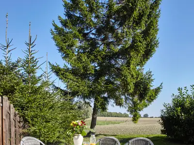 Ferienhaus für 7 Personen (95 m²) in Giddendorf 6/10