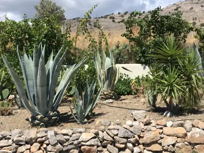 Ferienhaus für 16 Personen (280 m²) in Lardos 6/10