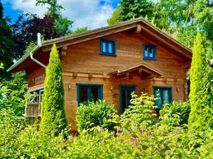 Ferienhaus für 5 Personen (70 m²) in Goslar-Hahnenklee
