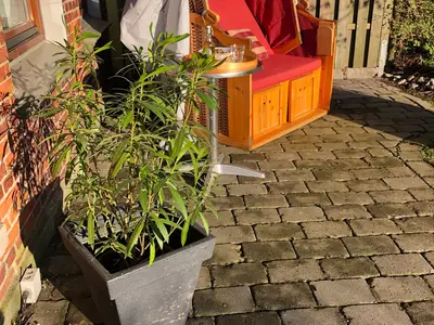 Ferienhaus für 6 Personen (90 m²) in Fehmarn 5/10