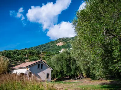 Ferienhaus für 4 Personen (50 m²) in Pisciotta 2/10