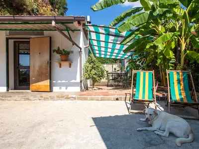 Ferienhaus für 3 Personen (60 m²) in Pisciotta 9/10